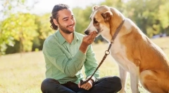 Hogyan kommunikálhatunk a pet-vel és figyelmeztető problémákkal